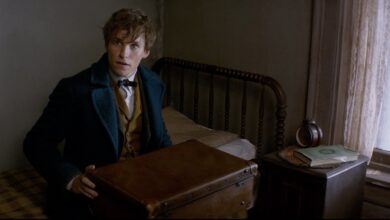 Фантастични животни и къде да ги намерим | Fantastic Beasts and Where to Find Them (2016)