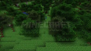 Minecraft