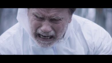 478 | Aftermath (2017)