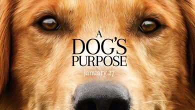 Кучешки живот | A Dog’s Purpose (2017)