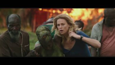 Последното лице | The Last Face (2016)
