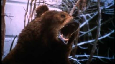 Дванайсет маймуни | Twelve Monkeys (1995)
