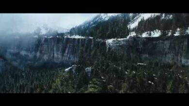 Сивият | The Grey (2011)
