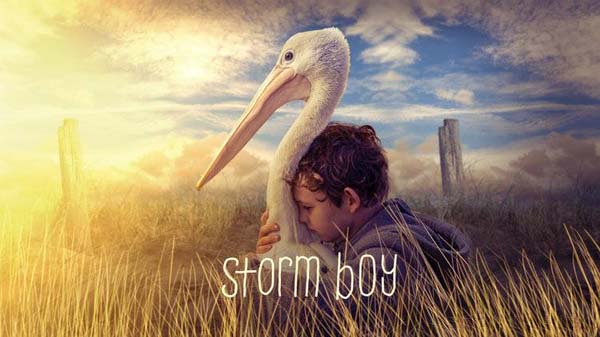 storm boy