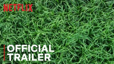 Във високата трева | In the Tall Grass (2019)