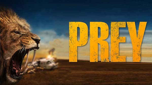 prey, 2024, филм