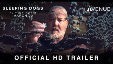 Sleeping Dogs (2024)