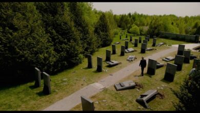 The Shrouds (2024)