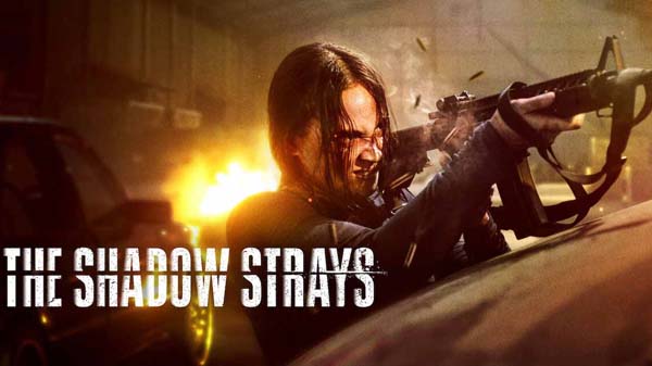 the shadow strays