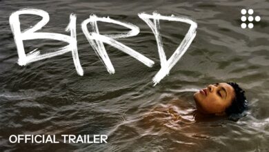 Bird (2024)