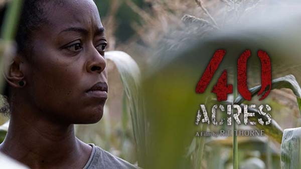 40 acres