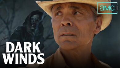 Dark Winds (2022 – )