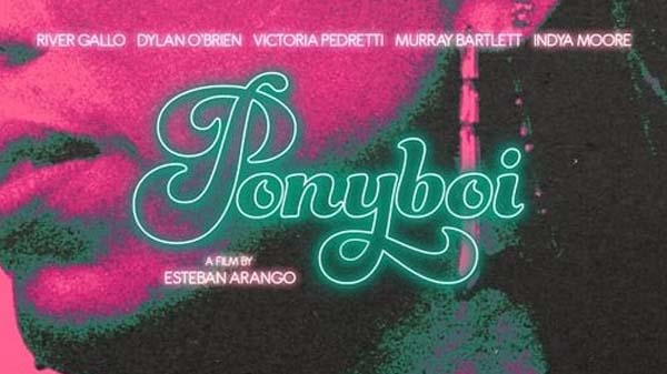 ponyboi