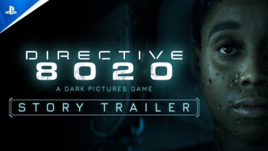Directive 8020 (2025)