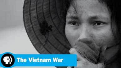 The Vietnam War (2017)