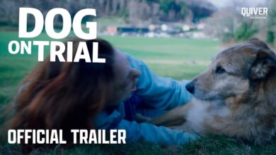 Dog on Trial (2024)