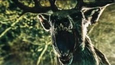 Bambi: The Reckoning (2025)