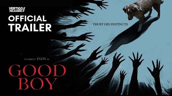 good boy