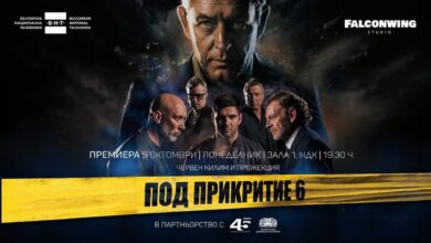 Под прикритие | Undercover (2011 – )