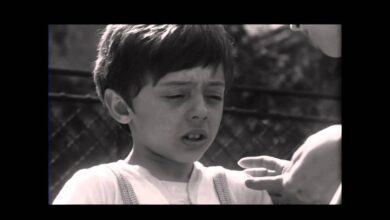 Рицар без броня (1966)