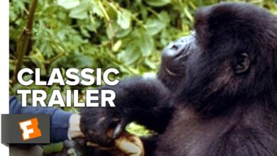 Горили в мъглата | Gorillas in the Mist (1988)
