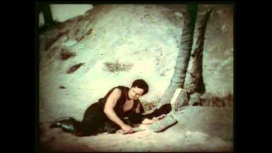 Черният пират (The Black Pirate, 1926)