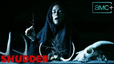 Mother of Flies (2025)