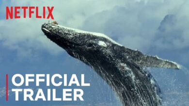 Нашата планета | Our Planet (2019 – 2023)