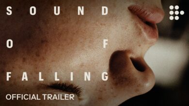 Звукът от падането | Sound of Falling (2025)