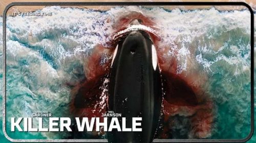 Косатка | Killer Whale (2026)
