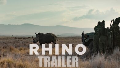 Rhino (2025)