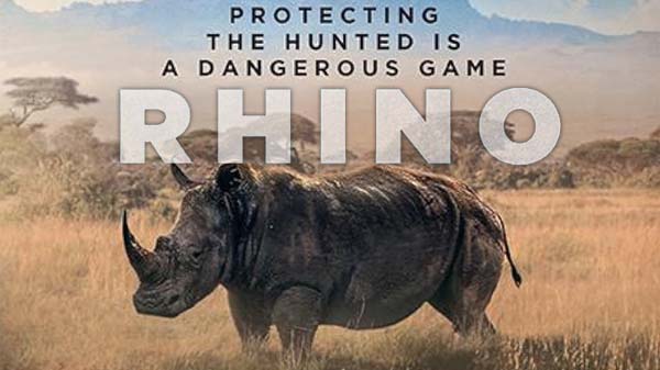 rhino