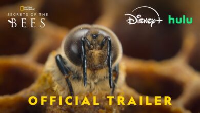 Тайните на пчелите | Secrets of the Bees (2026 – )