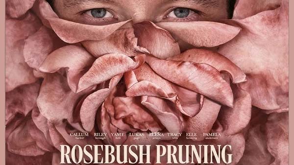 Rosebush Pruning