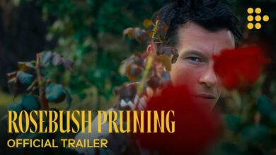Rosebush Pruning (2026)