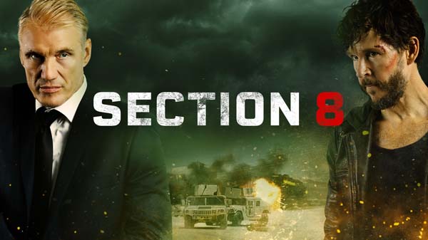 section 8
