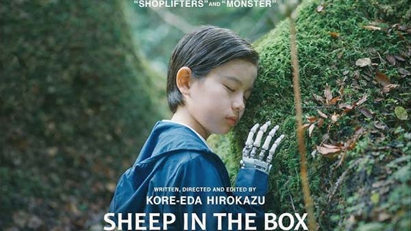 Sheep in the Box