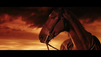 Боен кон | War Horse (2011)