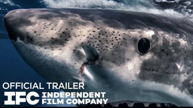 Chum (2026)