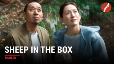 Sheep in the Box (2026)