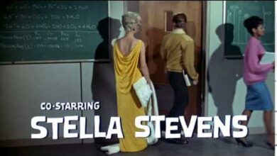 Смахнатият професор | The Nutty Professor (1963)