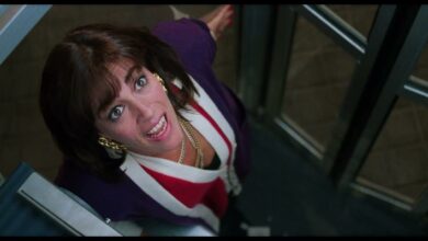 Жени на ръба на нервна криза | Women on the Verge of a Nervous Breakdown (1988)